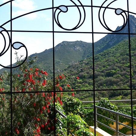 Cas'Anna Lidia - Hotel De Charme Feliceto Exterior foto
